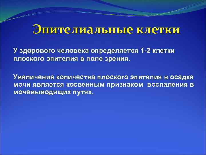 Эпителиальные клетки У здорового человека определяется 1 -2 клетки плоского эпителия в поле зрения.