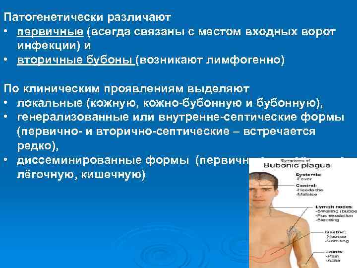 Патогенетически различают • первичные (всегда связаны с местом входных ворот инфекции) и • вторичные