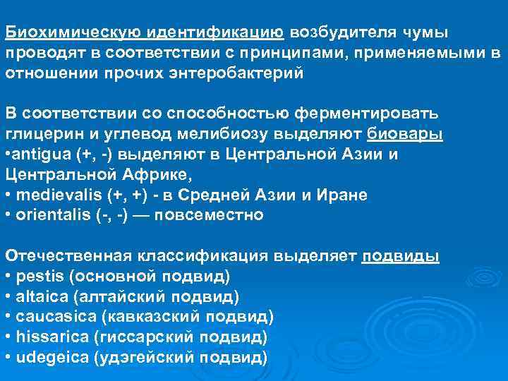 Биохимическую идентификацию возбудителя чумы проводят в соответствии с принципами, применяемыми в отношении прочих энтеробактерий
