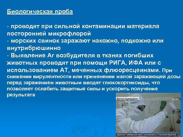 Биологическая проба - проводят при сильной контаминации материала посторонней микрофлорой - морских свинок заражают