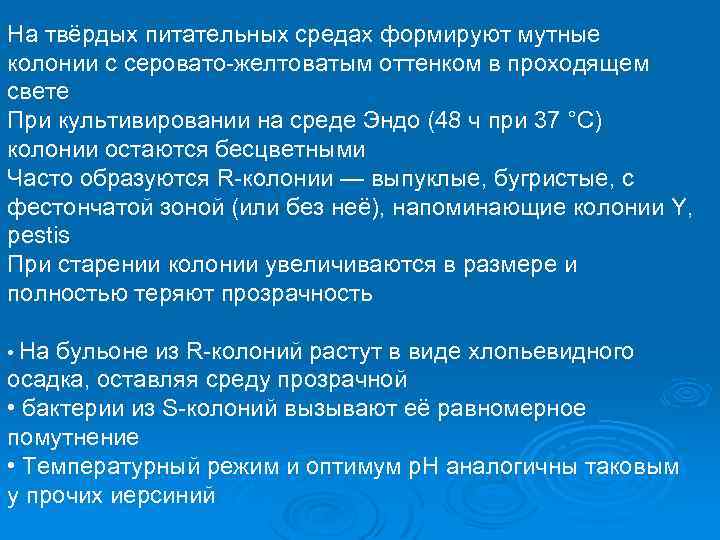 На твёрдых питательных средах формируют мутные колонии с серовато-желтоватым оттенком в проходящем свете При