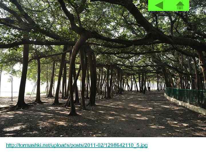 http: //tormashki. net/uploads/posts/2011 -02/1298642110_5. jpg 