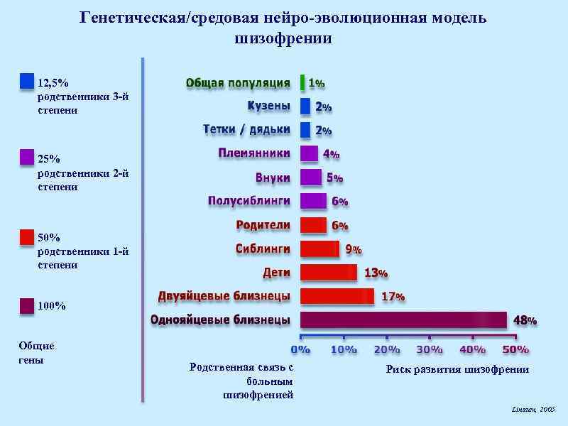 Генетическая/средовая нейро-эволюционная модель шизофрении 12, 5% родственники 3 -й степени 25% родственники 2 -й