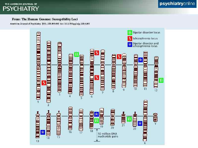 From: The Human Genome: Susceptibility Loci American Journal of Psychiatry 2001; 158: 865 -865