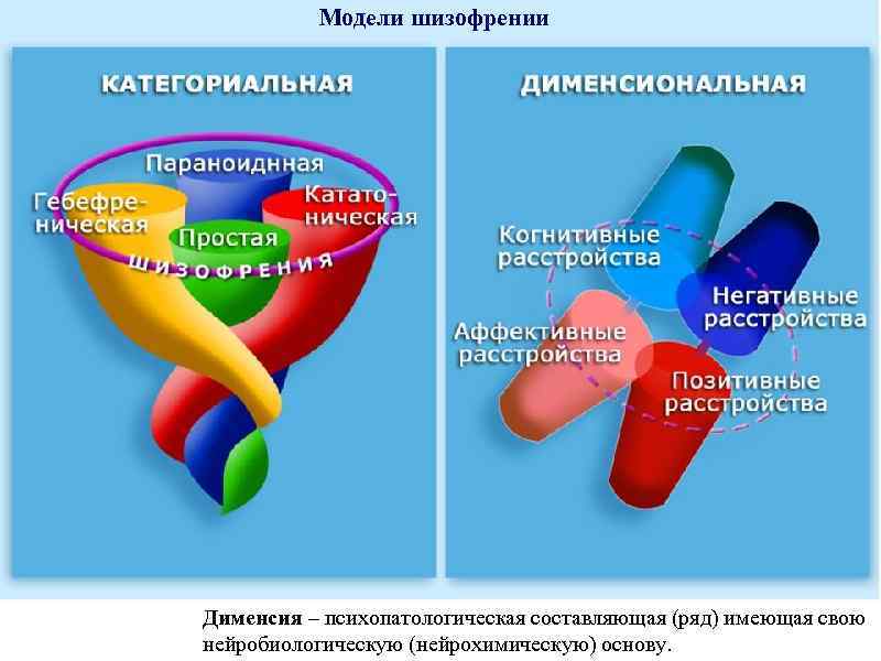 Модели шизофрении Дименсия – психопатологическая составляющая (ряд) имеющая свою нейробиологическую (нейрохимическую) основу. 