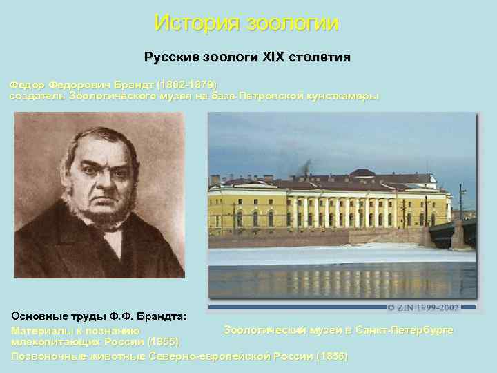 История зоологии Русские зоологи XIX столетия Федорович Брандт (1802 -1879) создатель Зоологического музея на