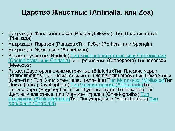 Царство Животные (Animalia, или Zoa) • Надраздел Фагоцителлозои (Phagocytellozoa): Тип Пластинчатые (Placozoa) • Надраздел