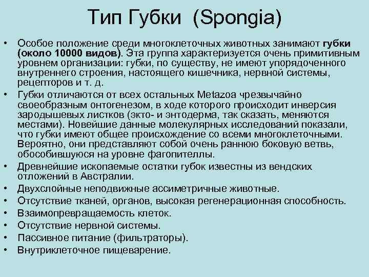 Тип Губки (Spongia) • Особое положение среди многоклеточных животных занимают губки (около 10000 видов).