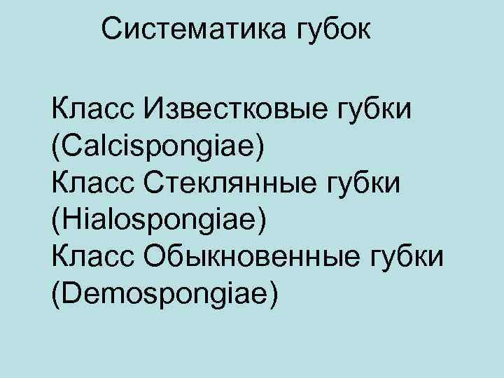 Систематика губок Класс Известковые губки (Calcispongiae) Класс Стеклянные губки (Hialospongiae) Класс Обыкновенные губки (Demospongiae)