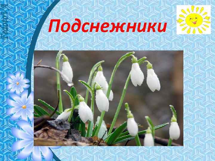 Подснежники 