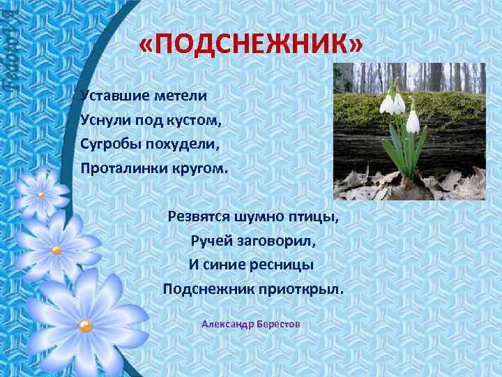  «ПОДСНЕЖНИК» Уставшие метели Уснули под кустом, Сугробы похудели, Проталинки кругом. Резвятся шумно птицы,