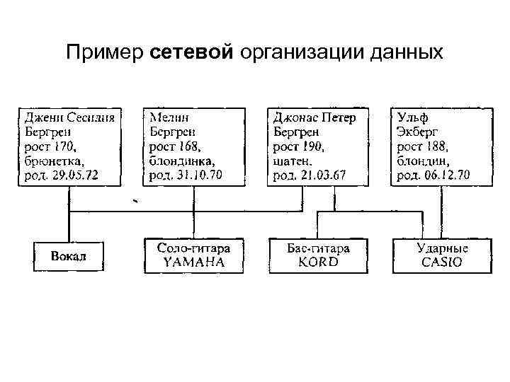 Пример сетевой организации данных 