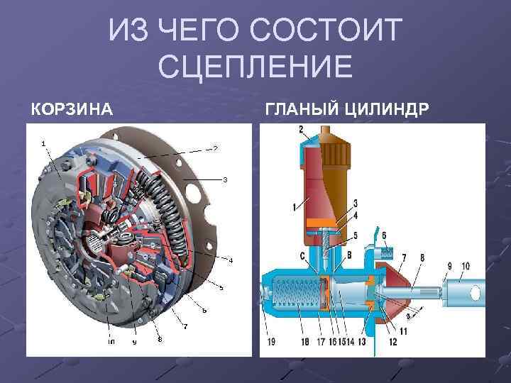 ИЗ ЧЕГО СОСТОИТ СЦЕПЛЕНИЕ КОРЗИНА ГЛАНЫЙ ЦИЛИНДР 