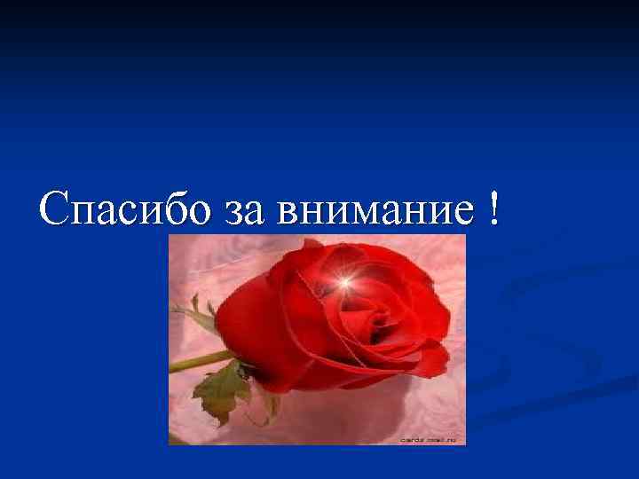 Спасибо за внимание ! 