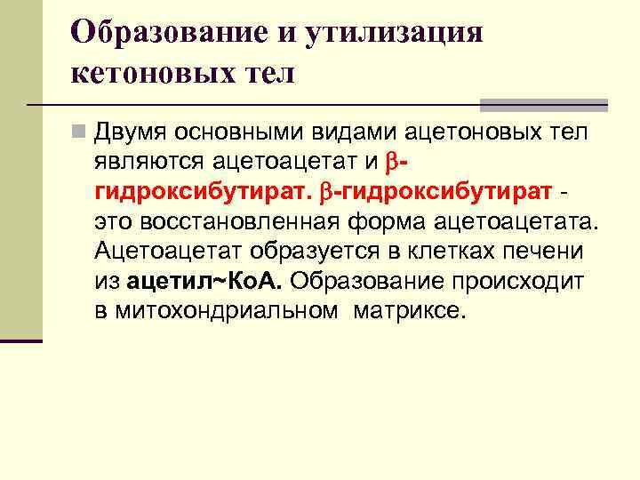 Образование и утилизация кетоновых тел n Двумя основными видами ацетоновых тел являются ацетоацетат и