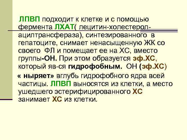 ЛПВП подходит к клетке и с помощью фермента ЛХАТ( лецитин-холестеролацилтрансфераза), синтезированного в гепатоците, снимает