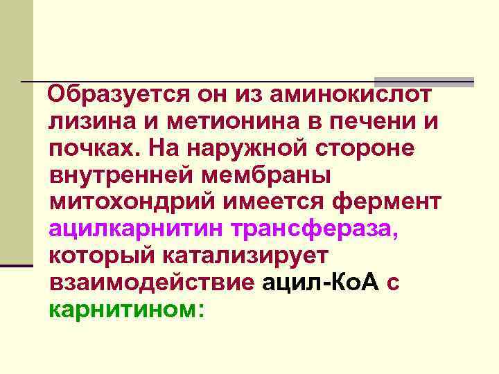 Образуется он из аминокислот лизина и метионина в печени и почках. На наружной стороне