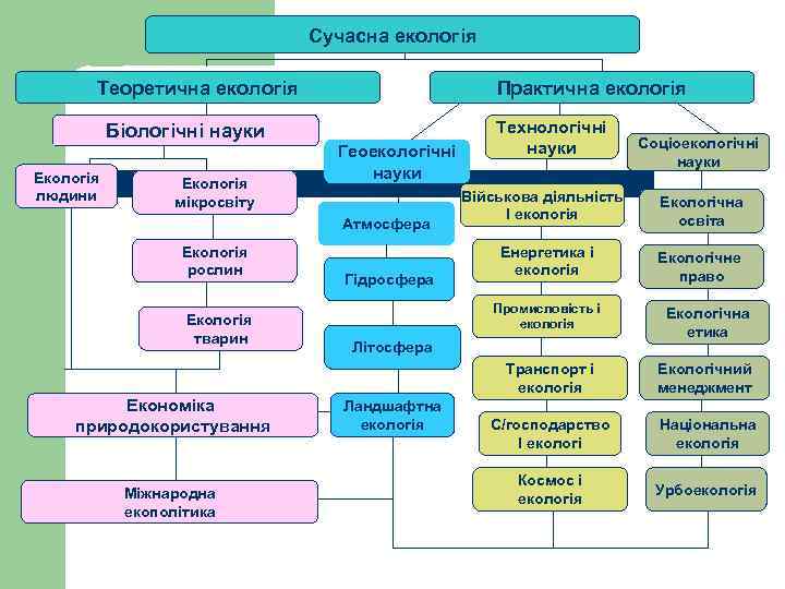 Сучасна екологія Теоретична екологія Біологічні науки Екологія людини Екологія мікросвіту Практична екологія Геоекологічні науки