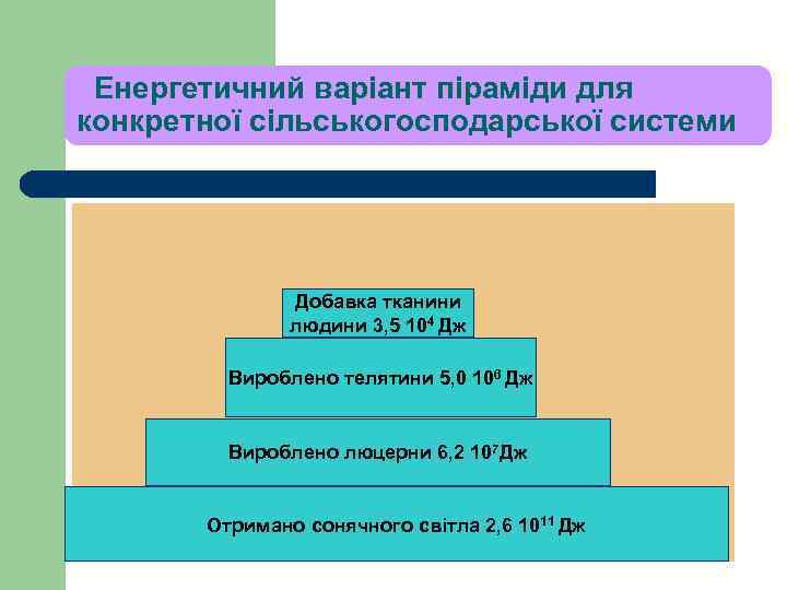 Енергетичний варіант піраміди для конкретної сільськогосподарської системи Добавка тканини людини 3, 5 104 Дж