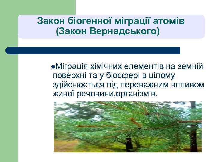 Закон біогенної міграції атомів (Закон Вернадського) l. Міграція хімічних елементів на земній поверхні та