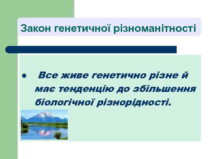 Закон генетичної різноманітності l Все живе генетично різне й має тенденцію до збільшення біологічної