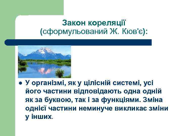 Закон кореляції (сформульований Ж. Кюв'є): l У організмі, як у цілісній системі, усі його