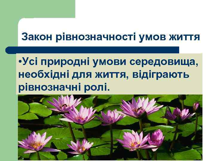 Закон рівнозначності умов життя • Усі природні умови середовища, необхідні для життя, відіграють рівнозначні