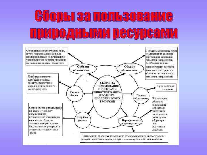 Сборы за пользование природными ресурсами 