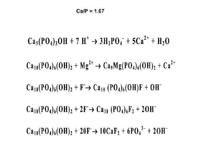 Ca/P = 1. 67 