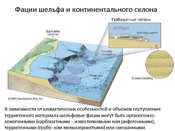 Схема континентального шельфа