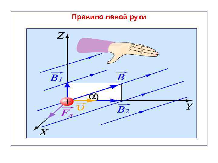 Правило левой руки 