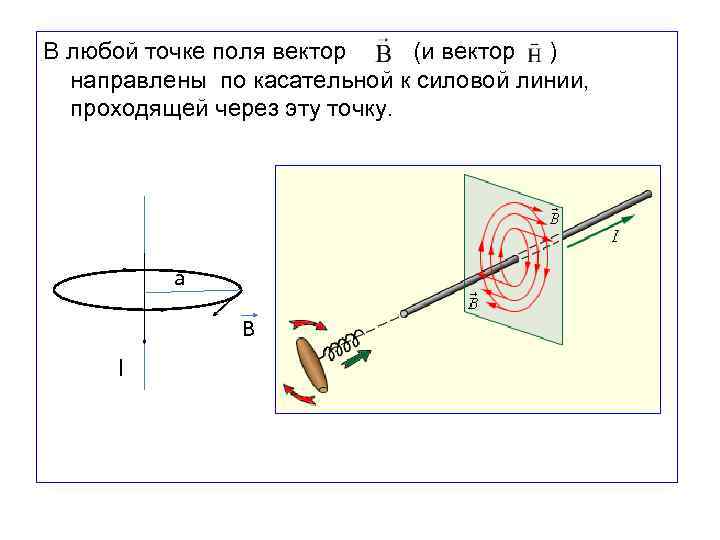 В любой точке поля вектор (и вектор ) направлены по касательной к силовой линии,