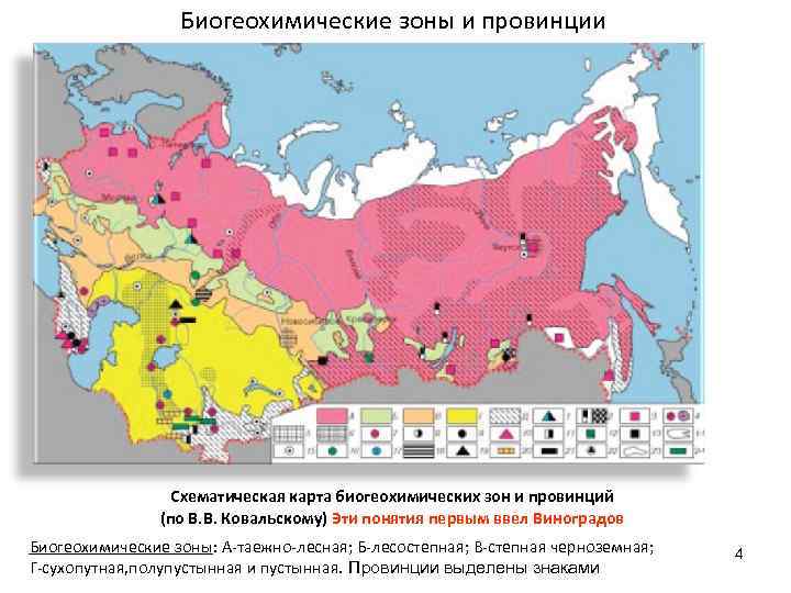 Биогеохимические зоны и провинции Схематическая карта биогеохимических зон и провинций (по В. В. Ковальскому)