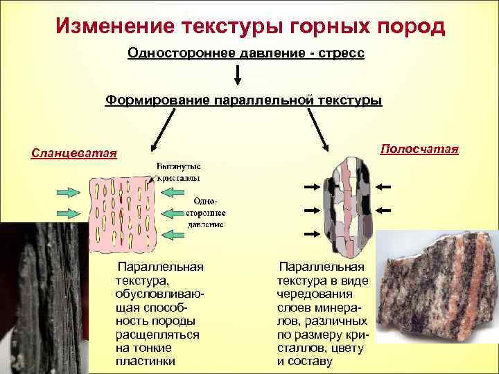 Изменение текстуры горных пород Одностороннее давление - стресс Формирование параллельной текстуры Полосчатая Сланцеватая Параллельная