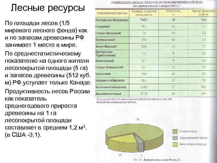 Запасы древесины в мире. Лесные ресурсы России таблица. Запасы лесных ресурсов России. Страны по запасам древесины. Место России в мире по запасам древесины.