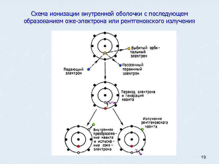 Схема ионизации внутренней оболочки с последующем образованием оже-электрона или рентгеновского излучения 19 