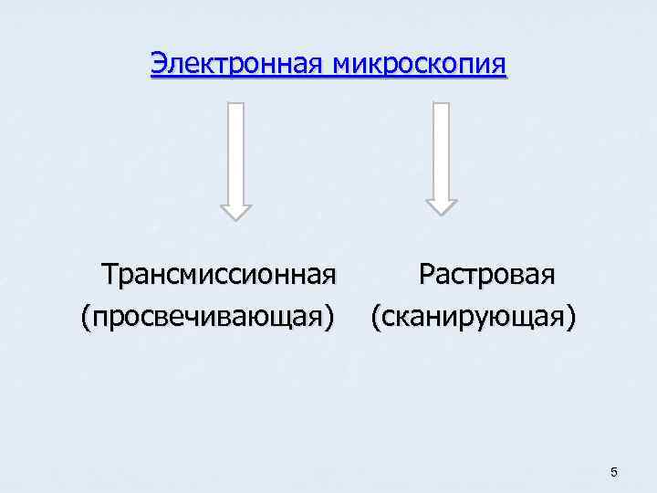 Электронная микроскопия Трансмиссионная Растровая (просвечивающая) (сканирующая) 5 