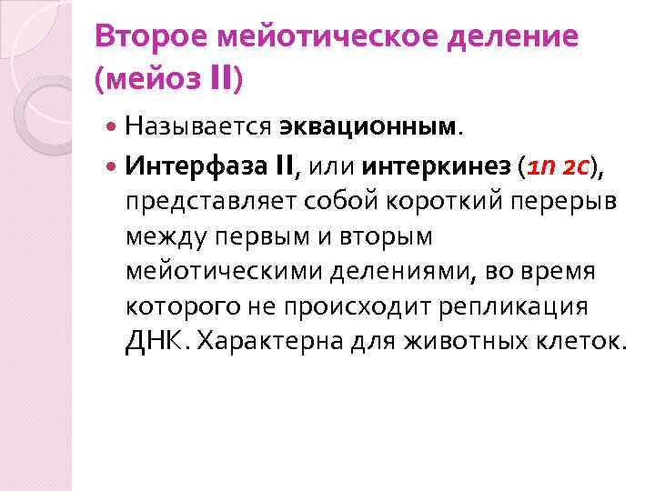 Второе мейотическое деление (мейоз II) Называется эквационным. Интерфаза II, или интеркинез (1 n 2