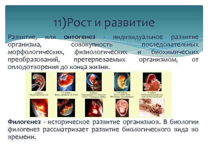 Определение биологического возраста картинки