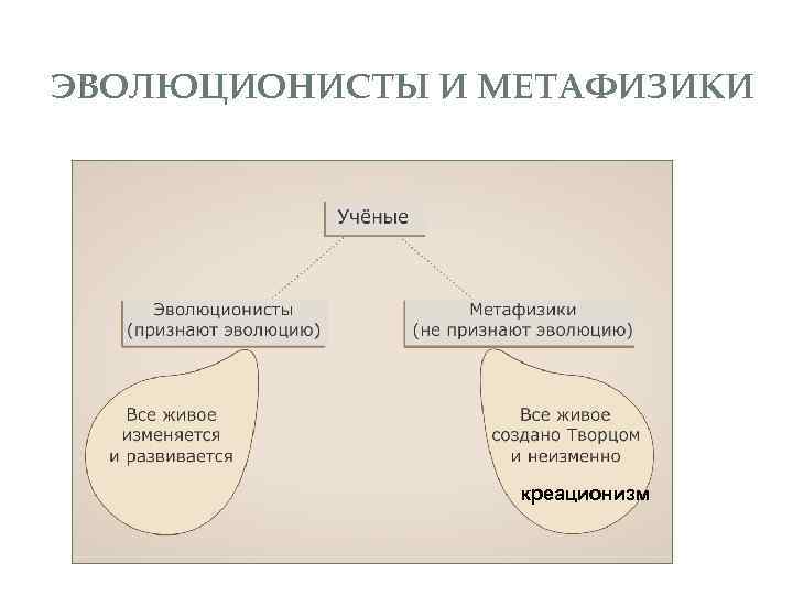 ЭВОЛЮЦИОНИСТЫ И МЕТАФИЗИКИ креационизм 