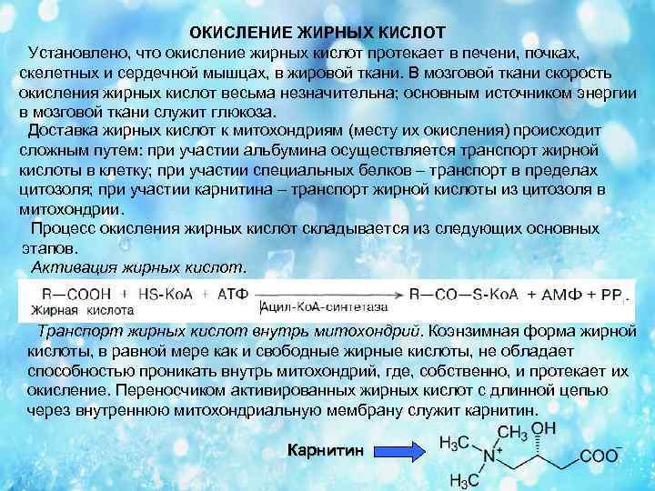 Окислительный процесс в мышцах