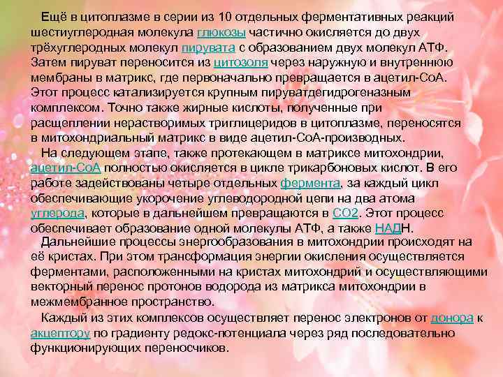  Ещё в цитоплазме в серии из 10 отдельных ферментативных реакций шестиуглеродная молекула глюкозы