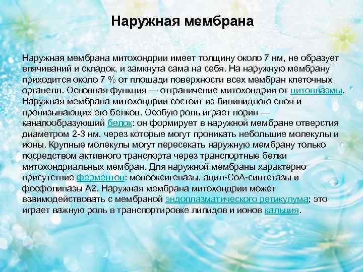 Наружная мембрана митохондрии имеет толщину около 7 нм, не образует впячиваний и складок, и