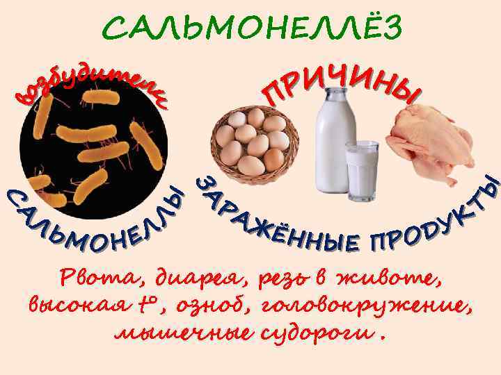 САЛЬМОНЕЛЛЁЗ Рвота, диарея, резь в животе, высокая t°, озноб, головокружение, мышечные судороги. 