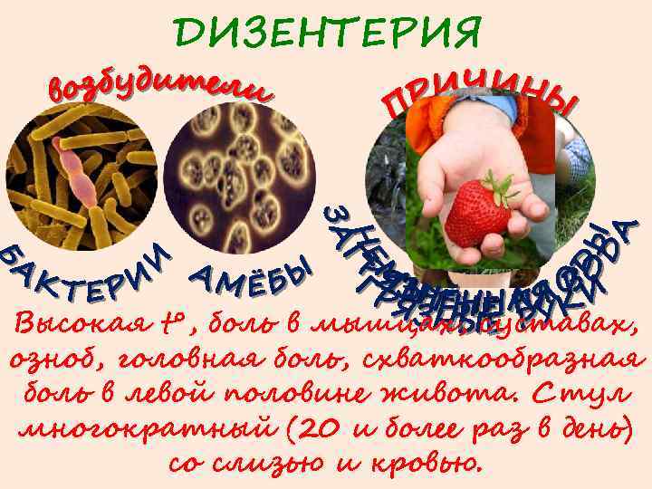 ДИЗЕНТЕРИЯ Высокая t°, боль в мышцах, суставах, озноб, головная боль, схваткообразная боль в левой