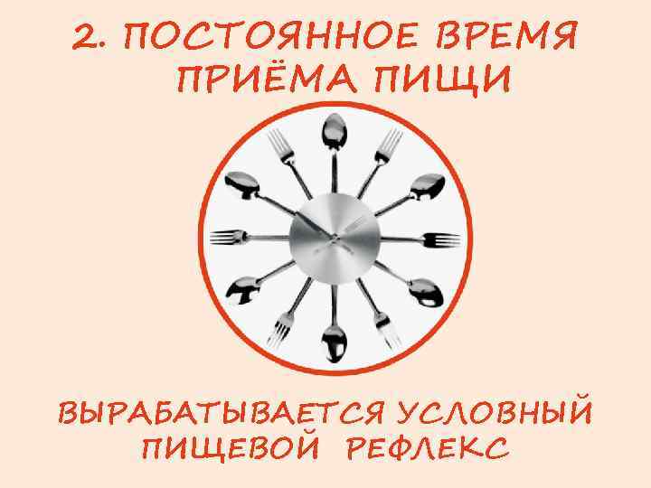 2. ПОСТОЯННОЕ ВРЕМЯ ПРИЁМА ПИЩИ ВЫРАБАТЫВАЕТСЯ УСЛОВНЫЙ ПИЩЕВОЙ РЕФЛЕКС 