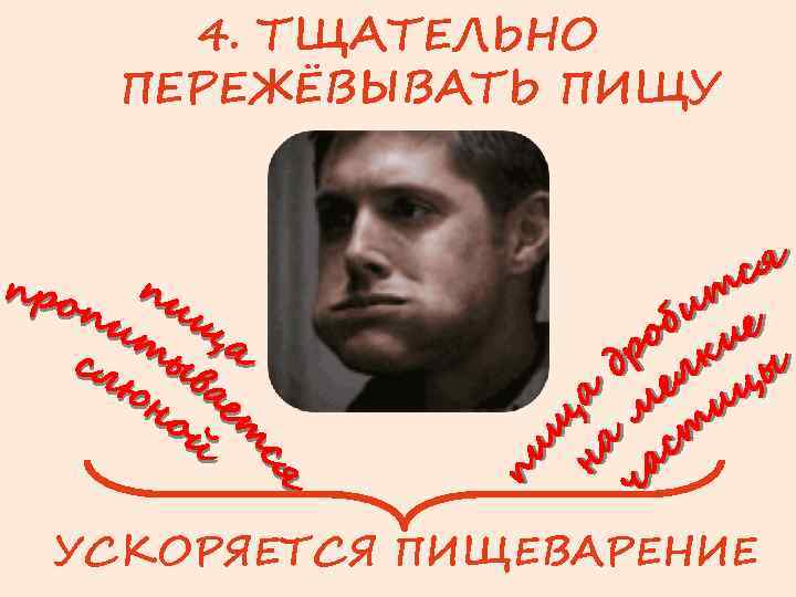 4. ТЩАТЕЛЬНО ПЕРЕЖЁВЫВАТЬ ПИЩУ УСКОРЯЕТСЯ ПИЩЕВАРЕНИЕ 