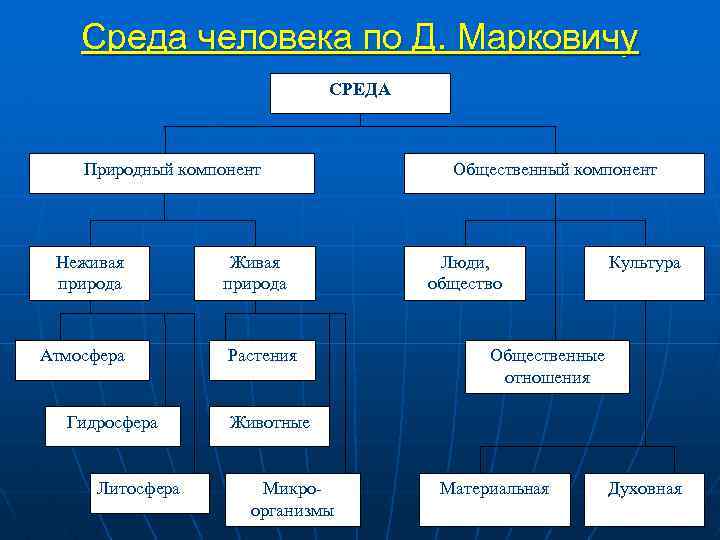 Среда человека по Д. Марковичу СРЕДА Природный компонент Неживая природа Атмосфера Гидросфера Литосфера Живая