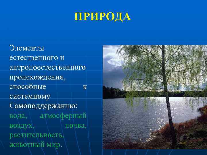 ПРИРОДА Элементы естественного и антропоестественного происхождения, способные к системному Самоподдержанию: вода, атмосферный воздух, почва,