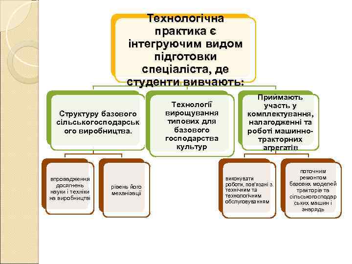 Технологічна практика є інтегруючим видом підготовки спеціаліста, де студенти вивчають: Структуру базового сільськогосподарськ ого
